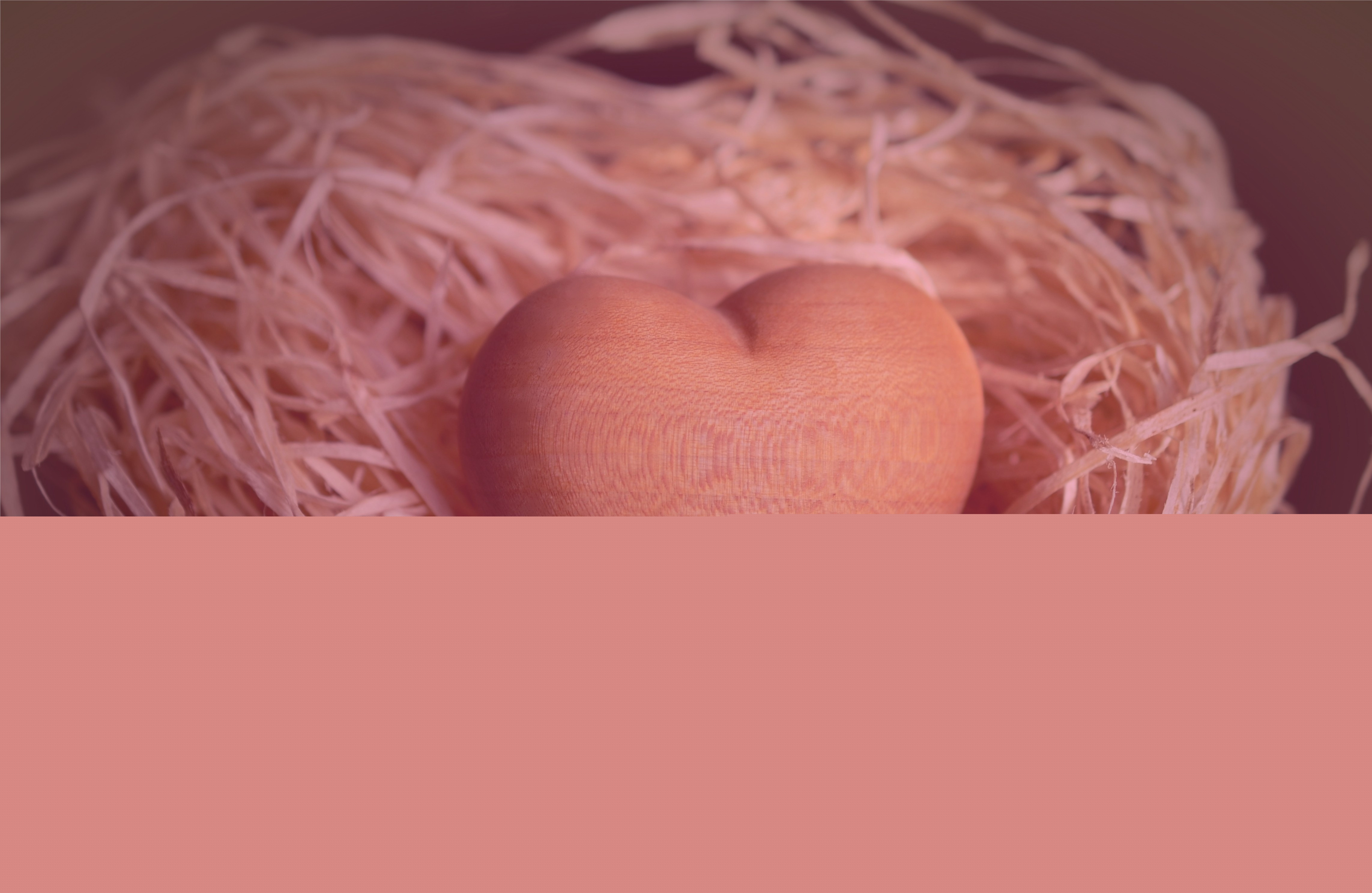 Empty Nest