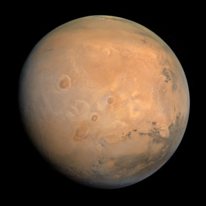 The Colony